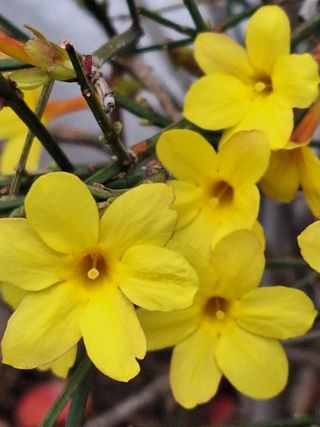 남 샘결 개둥맘님의 작성글 사진