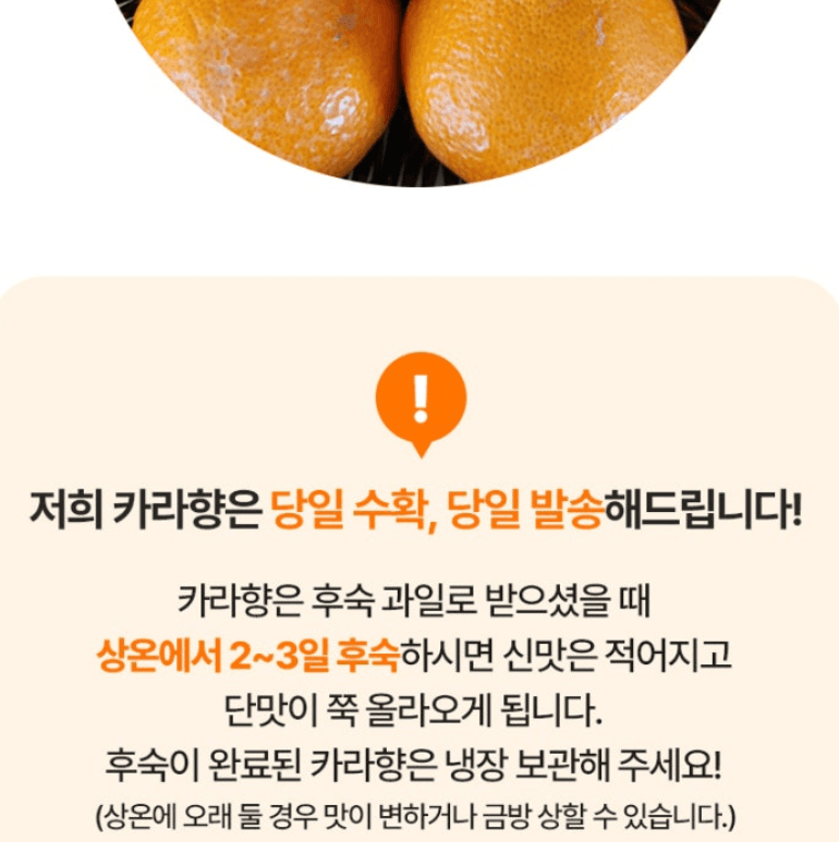 스피드번님의 장터 판매 상품 [제주도 카라향 ] 첨부 사진