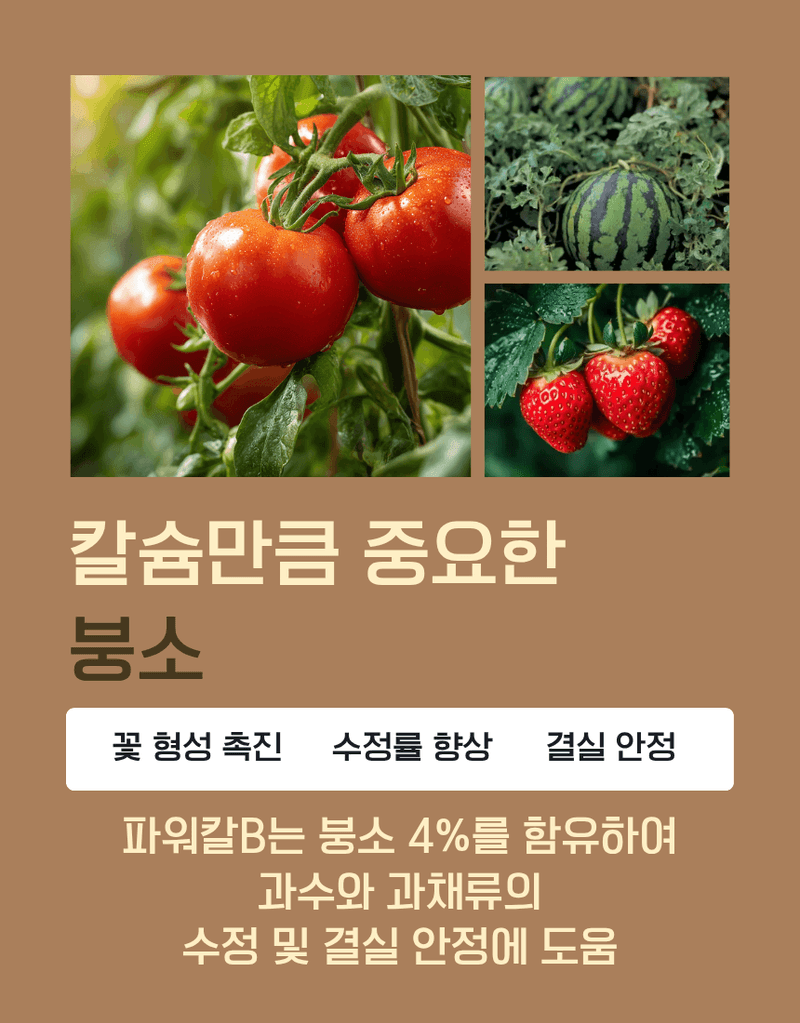 농업마켓365님의 장터 판매 상품 [파워칼B 액제 500ml 칼슘 21% 붕소 4% 식물칼슘제 유기산킬레이트칼슘 식물영양제] 첨부 사진