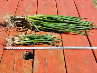 한경훈님의 자유주제 · 자유게시판 작성글 사진