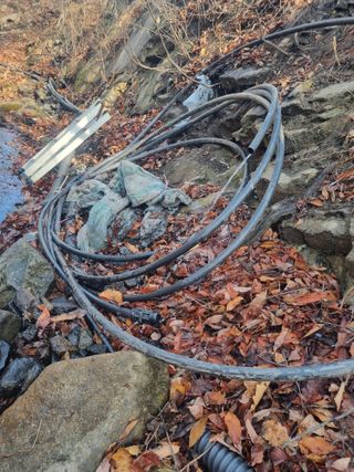 김용대님의 자유주제 · 자유게시판 작성글 사진