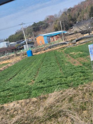 김영진(전남영광)님의 자유주제 · 자유게시판 작성글 사진