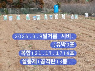 박성민님의 자유주제 · 자유게시판 작성글 사진