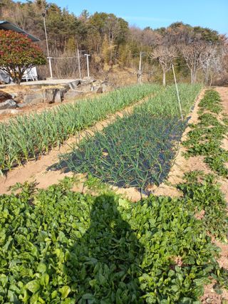 심무재 님의 자유주제 · 자유게시판 작성글 사진