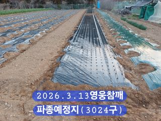 박성민님의 자유주제 · 자유게시판 작성글 사진