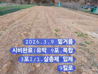 박성민님의 자유주제 · 자유게시판 작성글 사진