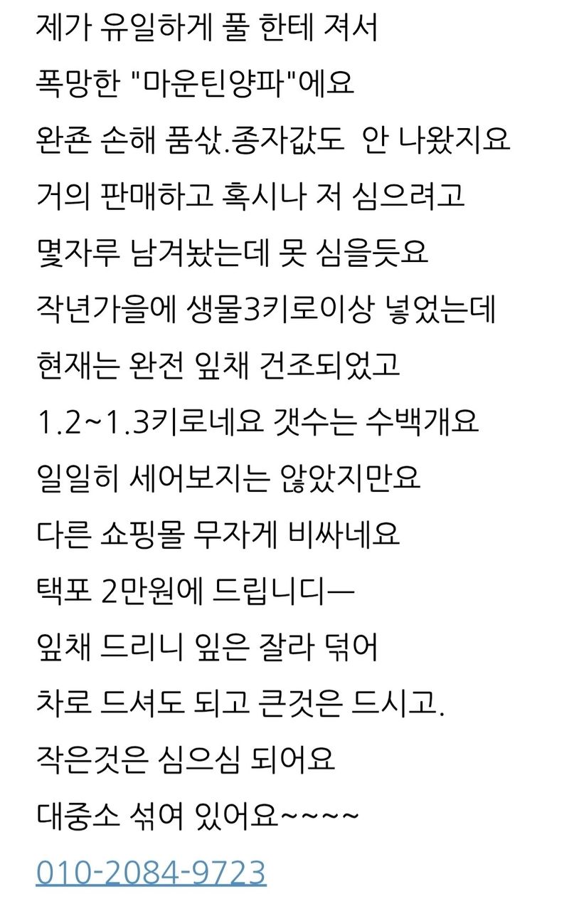 삼성농산님의 장터 판매 상품 [(완료)마운틴양파 1자루만 남음] 첨부 사진