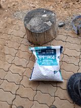 팜모닝 자유주제·자유게시판 게시글 이미지