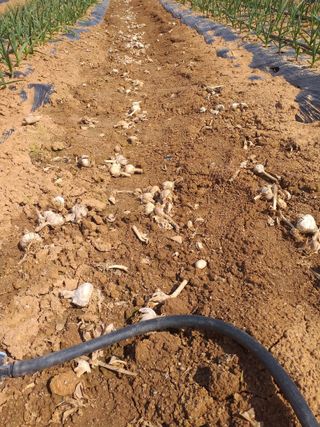 박웅님의 자유주제 · 자유게시판 작성글 사진