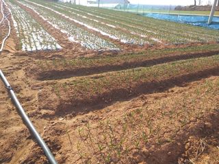 박웅님의 자유주제 · 자유게시판 작성글 사진