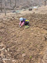 팜모닝 자유주제·자유게시판 게시글 이미지