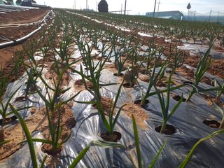 박웅님의 자유주제 · 자유게시판 작성글 사진