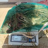 팜모닝 · 게시글 이미지