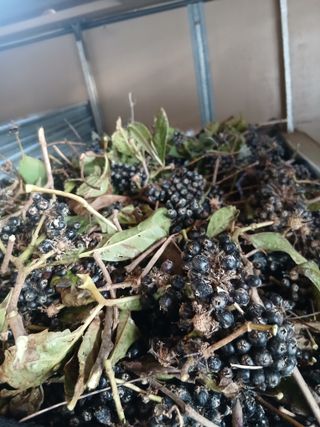 무료지식나눔 팜닥터님의 자유주제 · 자유게시판 작성글 사진