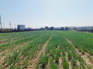 한경훈님의 자유주제 · 자유게시판 작성글 사진