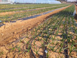 박웅님의 자유주제 · 자유게시판 작성글 사진