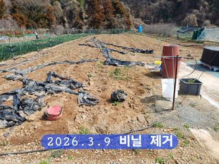 박성민님의 자유주제 · 자유게시판 작성글 사진