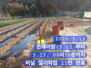 박성민님의 자유주제 · 자유게시판 작성글 사진