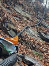 팜모닝 자유주제·자유게시판 게시글 이미지