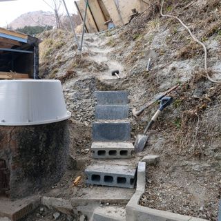 가로수님의 자유주제·자유게시판 작성글 사진