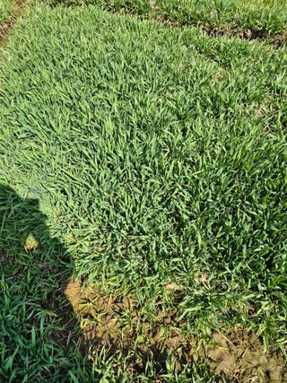 김영진(전남영광)님의 자유주제 · 자유게시판 작성글 사진