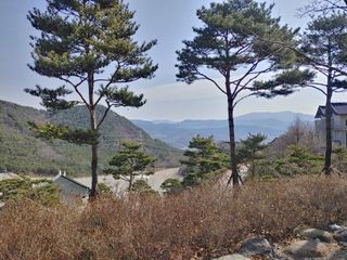 이현상님의 자유주제 · 자유게시판 작성글 사진