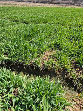 김영진(전남영광)님의 자유주제 · 자유게시판 작성글 사진