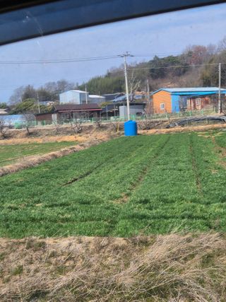 김영진(전남영광)님의 자유주제 · 자유게시판 작성글 사진