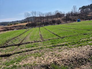 김영진(전남영광)님의 자유주제 · 자유게시판 작성글 사진