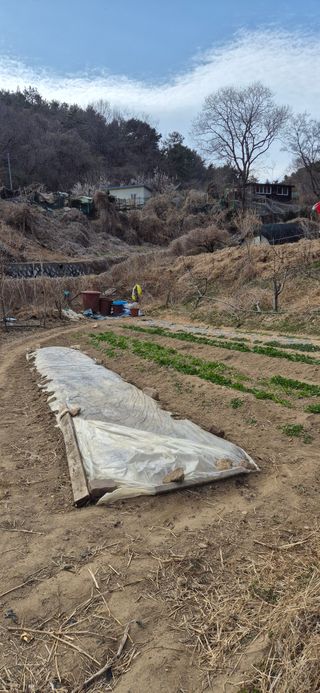 봉림동 태진농장님의 자유주제 · 자유게시판 작성글 사진