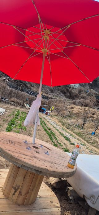 봉림동 태진농장님의 자유주제 · 자유게시판 작성글 사진