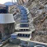 가로수님의 자유주제·자유게시판 작성글 사진