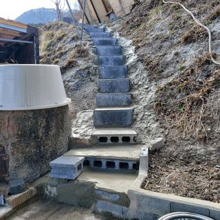 가로수님의 자유주제 · 자유게시판 작성글 사진