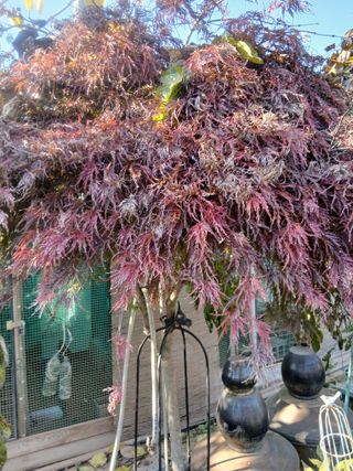 무료지식나눔 팜닥터님의 자유주제 · 자유게시판 작성글 사진