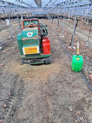 표고버섯18837님의 자유주제 · 자유게시판 작성글 사진