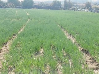 한경훈님의 자유주제 · 자유게시판 작성글 사진