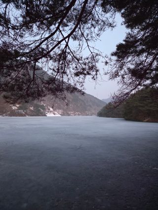 최동수님의 자유주제 · 자유게시판 작성글 사진
