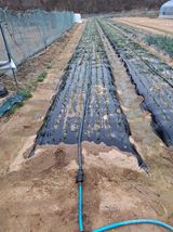 초보굴백이님의 자유주제·자유게시판 작성글 사진