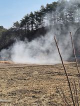 농민님의 자유주제·자유게시판 작성글 사진
