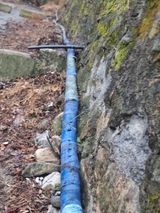 팜모닝 자유주제·자유게시판 게시글 이미지