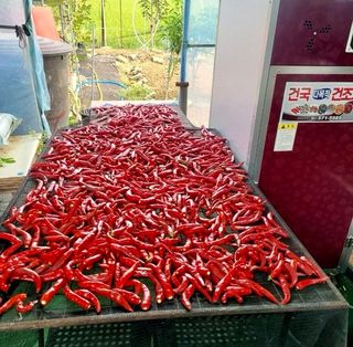 구자욱님의 기타작물 · 자유게시판 작성글 사진