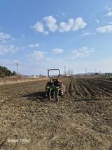 팜모닝 자유주제·자유게시판 게시글 이미지