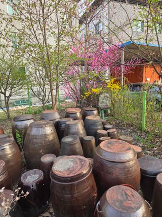 최동수님의 자유주제 · 자유게시판 작성글 사진