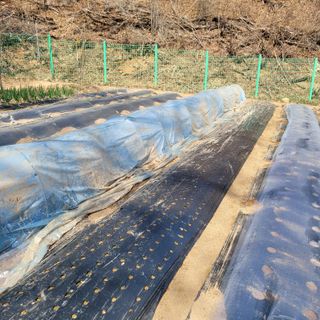 이창화님의 자유주제 · 자유게시판 작성글 사진