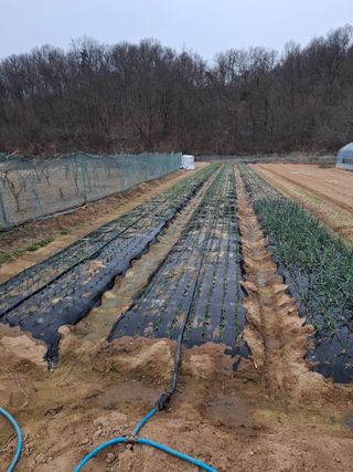 초보굴백이님의 자유주제 · 자유게시판 작성글 사진