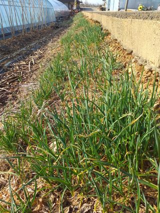 박웅님의 자유주제 · 자유게시판 작성글 사진