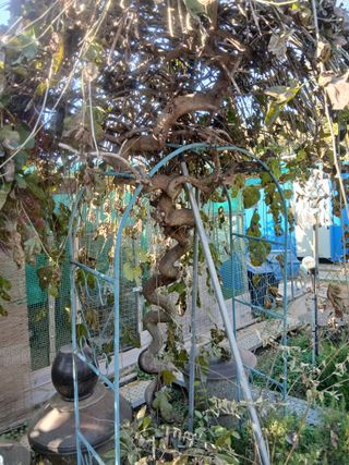 무료지식나눔 팜닥터님의 자유주제 · 자유게시판 작성글 사진