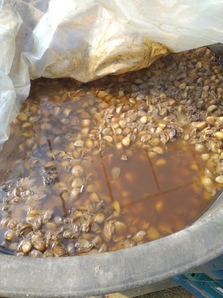 박웅님의 자유주제 · 자유게시판 작성글 사진