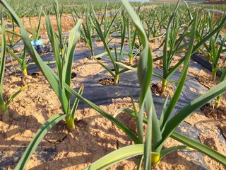 박웅님의 자유주제 · 자유게시판 작성글 사진