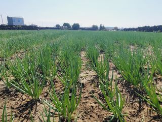 한경훈님의 자유주제 · 자유게시판 작성글 사진